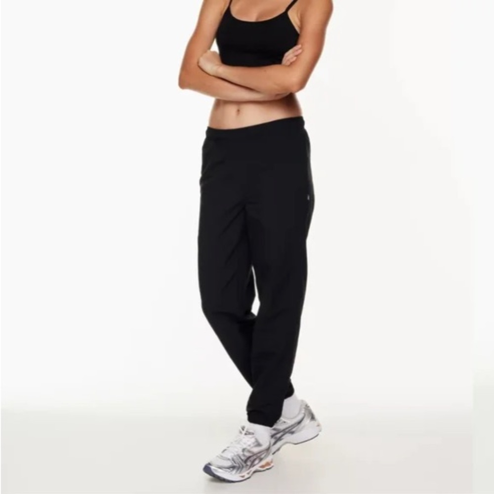 Aritzia Black Abel Jogger Pants